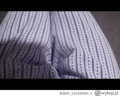 Adam_Lechistan - @malachit9: https://www.youtube.com/watch?v=7IHmSATy3tg