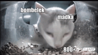 WebsterBolek - #madka #p0lka #heheszki #800plus
