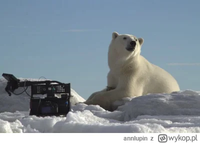 annlupin - halo odbiur