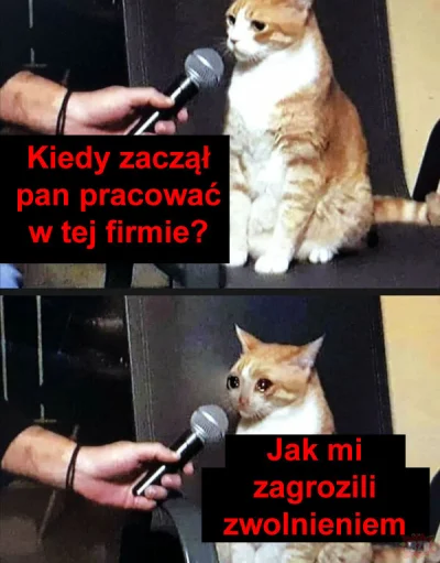 schnippen_schnappen - #heheszki