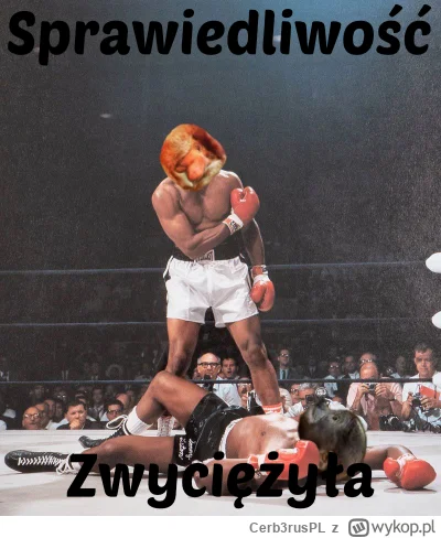 Cerb3rusPL - #konkursnanajbardziejgownianymemznosaczem 

Jeszcze przed końcem roku pj...