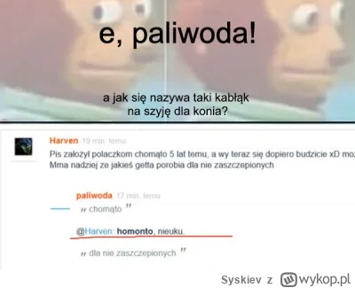 Syskiev - @paliwoda: