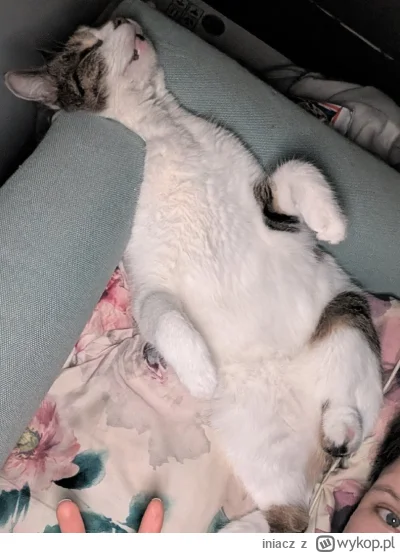 iniacz - Elo. Teraz mogę napisać, bo moje grzeczne dziecko z Wykopaki już wie, kim je...