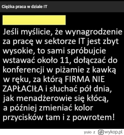 yuio - Kurcze mamy kryzys w IT, o którym słyszę od co najmniej roku, ale zauważyłem, ...