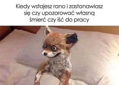 BozenaMal - No dzień dobry, dzień dobry ( ͡° ͜ʖ ͡°)
#heheszki #humorobrazkowy #pracba...