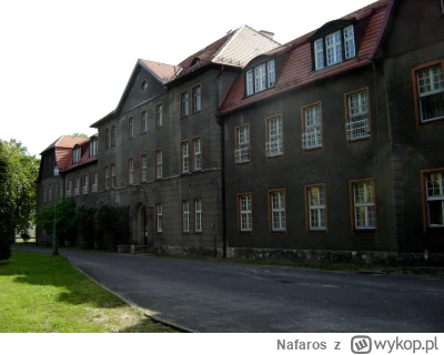 Nafaros - Wiem Nikita, że myślisz, że teraz boga za nogi złapałaś ale nawet nie wiesz...