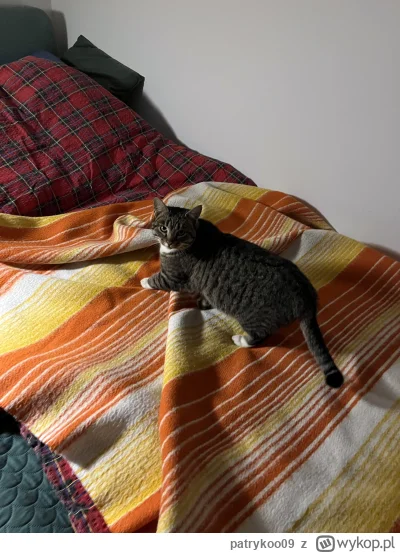 patrykoo09 - @Zmorka: