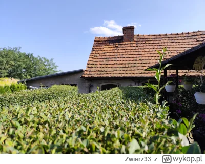 Zwierz33 - Z ludźmi jest jak z przyciętym przez huopa żywopłotem. Czasami jedenemu na...