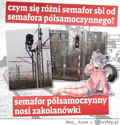 Maly__Kotek - #futrowpis #furry