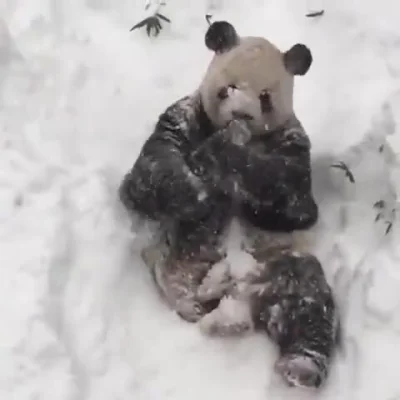 CH3j - I fajnie jest 
#ch3j