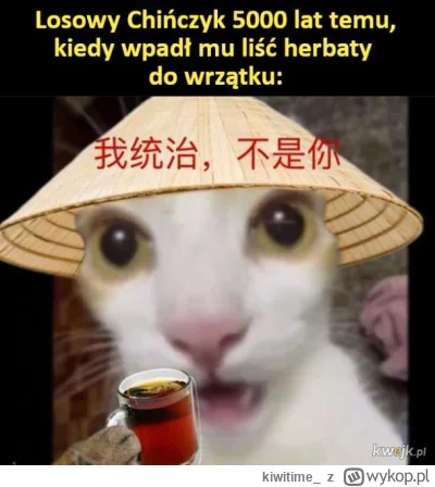 kiwitime_ - Lubicie dostawać herbatę w prezencie? A jeśli tak to jaka?

SPOILER

#wyk...