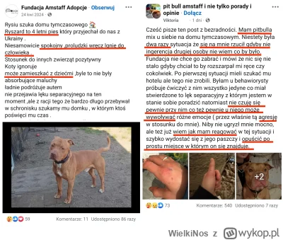 WielkiNos - @KRCZVSK czyli popierasz cenzurę. A potem będzie jak tutaj. Rysio reklamo...