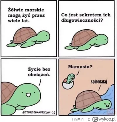 TiniMini - #heheszki #humorobrazkowy