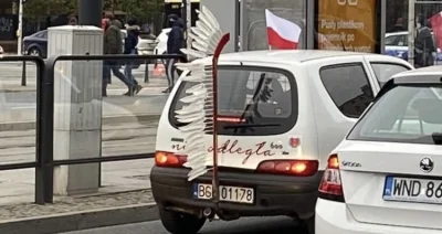 jatutylkonamoment - #husaria #dzienniepodleglosci