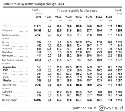 pamareum - Wykopki:
 żeby podwyższyć dzietność potrzebujemy modelu duńskiego 

Tymcza...