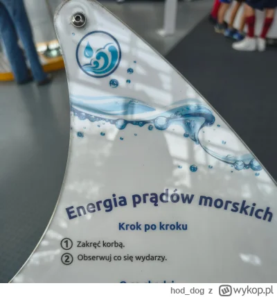 hod_dog - Tymczasam w Gdyni
#zydkrecikorba