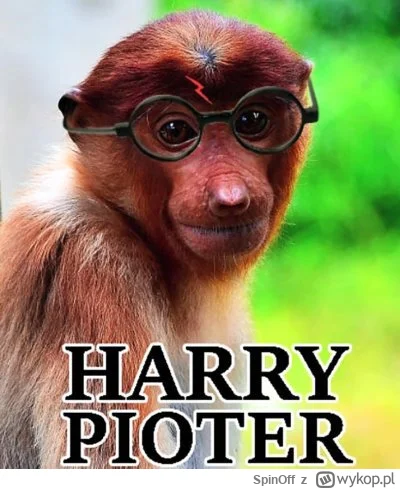 SpinOff - @vateras131