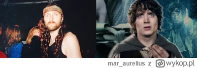 mar_aurelius - #wladcapierscieni każde pokolenie ma swojego naćpanego Ryśka