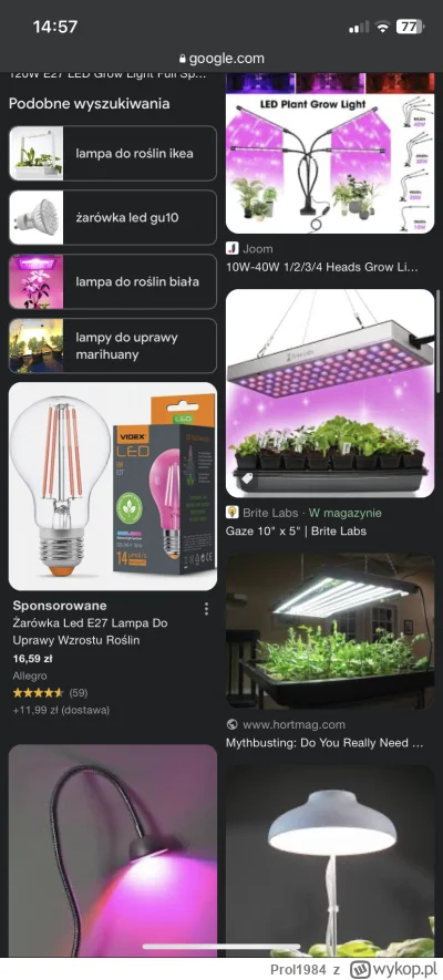 Prol1984 - #ogrodnictwo Szukam lampy na jesieno/zimowy okres do bananowca odmiana dwa...