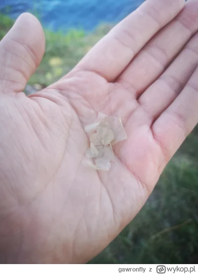 gawronfly - @limak123456:  tyle tego było