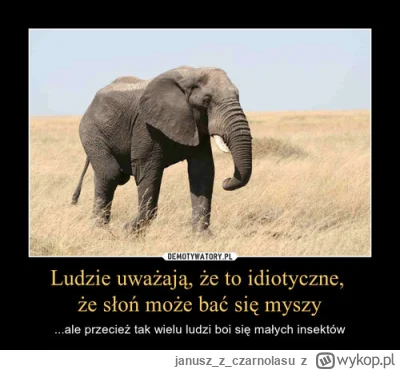 januszzczarnolasu - @szopa123: Podobno słoń boi się myszy. ( ͡° ͜ʖ ͡°)