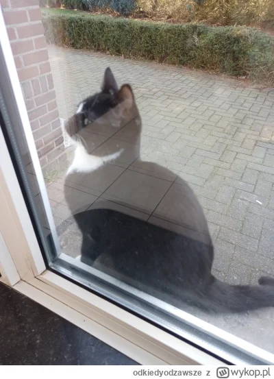 o.....e - Niebawem pykne jeszcze jedna sesje