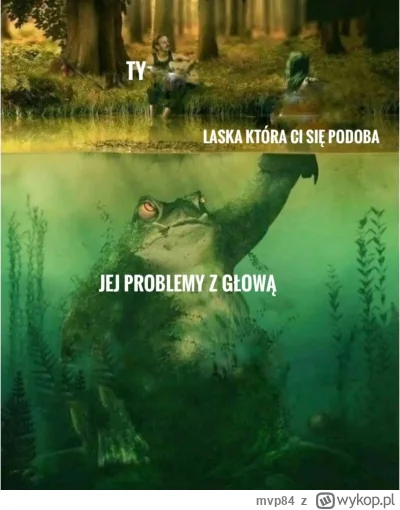 mvp84 - #zwiazki #logikarozowychpaskow #logikaniebieskichpaskow