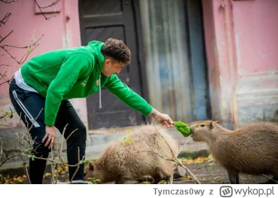 Tymczas0wy - Warto przypomnieć pewne kontrowersyjne zachowanie.
Eryk Ekspozycja wyryw...