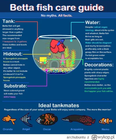 archubuntu - Chyba fake. Przecież wszyscy wiedzą, że najlepszym towarzyszem dla bojow...