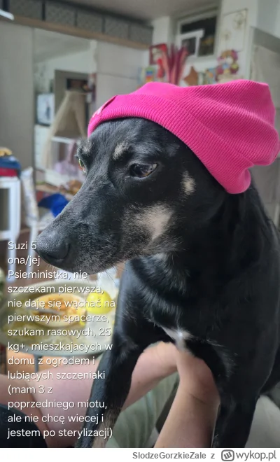 SlodzeGorzkieZale - Suka szuka psa. Tylko poważne oferty.
#tinder #pokazpsa #heheszki...