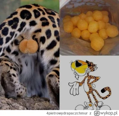 4pietrowydrapaczchmur - Wy też doprowadzaliście do ograniczenia populacji gepardów?

...