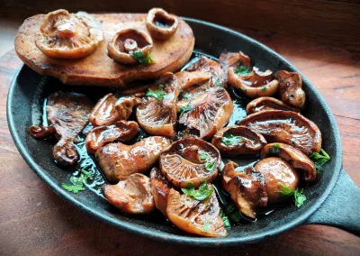 arinkao - Rydze na maśle z grzanką. Tak wygląda szczęście ( ͡° ͜ʖ ͡° )つ──☆*:・ﾟ
#arink...