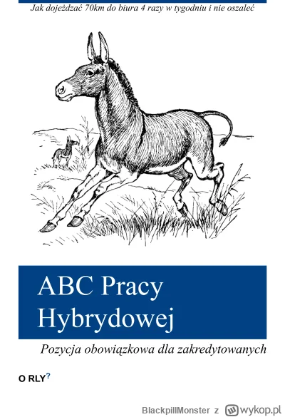 BlackpillMonster - #programista15k #programowanie #pracait #korposwiat