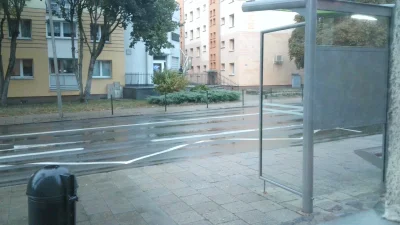 Wiskoler_double - #szczecin #oknonaprzystanek 
Pusto, mokro, chłodno. Musi jesień nad...