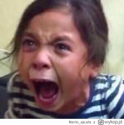 Nerlo_ajcats - Nóż nie służy do batonowania śmierdzielu! 
Taki wasz obraz 
#noze #bus...