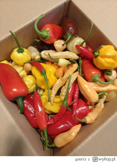 gobi12 - W weekend chwaliłem się zbiorami i zapowiadałem małe #rozdajo pakietu różnyc...