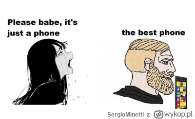 SergioMinetti - Jest tu ktoś jeszcze? ( ͡° ͜ʖ ͡°)

#bojowkawindowsphone #windowsphone...