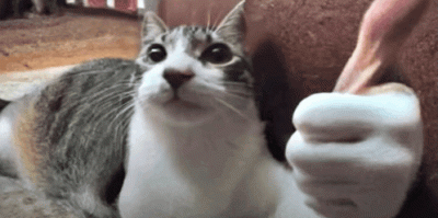 LM317K - @kruci_hegot: elegancko