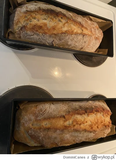 DominiCanes - Wstawaj przyszła żono, chlyb świeżutki czeka (｡◕‿‿◕｡)
Jak obiecałem @Jo...