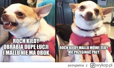 psingwina - #hotelparadise @BigShow podrzucił mi świetny obrazek.
Początkowo ten pies...