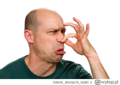 totemlesnychludzi - >również liże dupe wąsaczowi

@d4wid: dobrze, że nie Amandzie #pd...