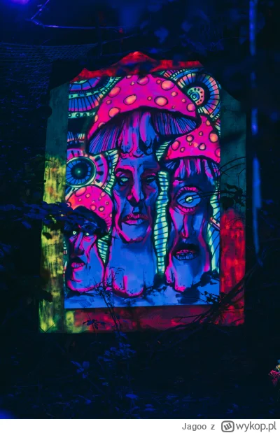 Jagoo - A więc jestem po moim pierwszym festiwalu, gdzie wzięli mnie jako osobę od de...