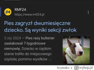 Scybulko - @KRCZVSK oj chłopie nie idźmy w przykłady bo przegrasz ( ͡º ͜ʖ͡º)