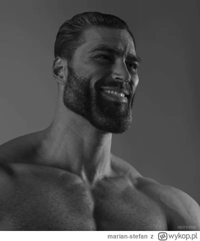 marian-stefan - >królują tutaj: mizoginizm, szowinizm, rasizm oraz tagi #p0lka i #prz...