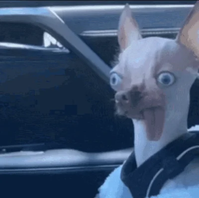 login_cwiczebny - @napomorskaznim no hej