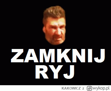 KAKOWICZ - eh, brakuje mi tych aktorów #danielmagical