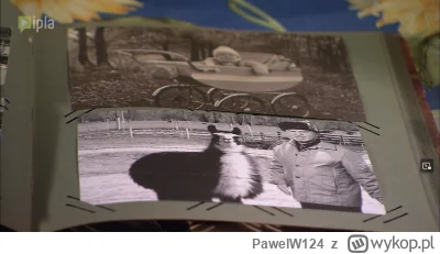 PawelW124 - #kiepscy #swiatwedlugkiepskich

O,to ja panie prezesie.
A tu dalej z lamą...