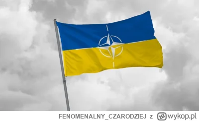 FENOMENALNY_CZARODZIEJ - #ukraina #polska #nato #wojna #ankieta #geopolityka
Ukraina ...