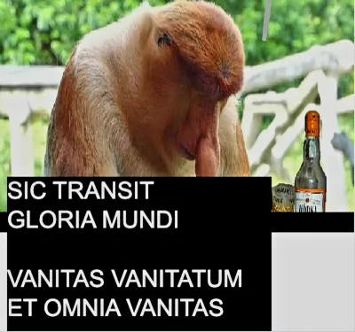 pawello321 - @poranna-sztyca: kurła...