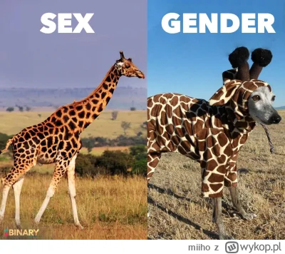 miiho - #bekazlewactwa #neuropa #takaprawda #heheszki #humorobrazkowy